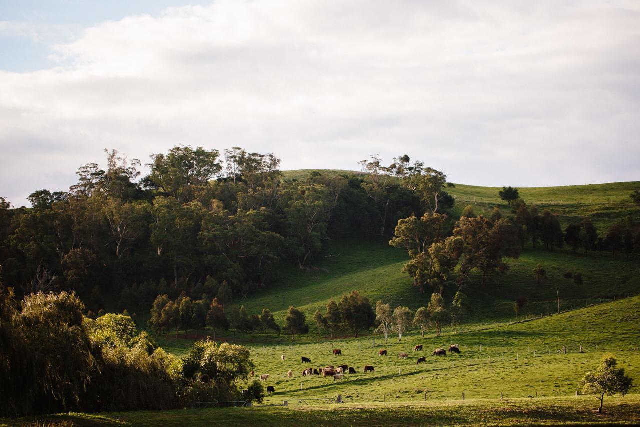 Bendooley Estate Berrima Exterior foto